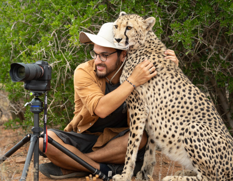 Lucky photographer was surprised when the cheetah quietly came closer and hugged him