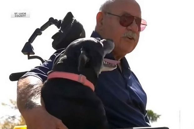 Hero dog saves elderly owner, 81, from drowning after wheelchair slips into lake