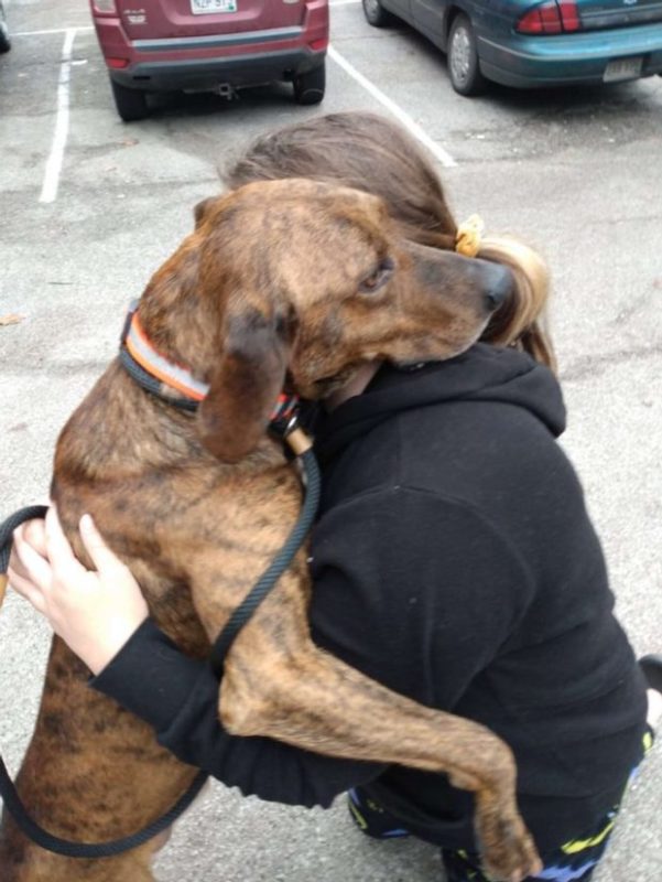 The dog from the shelter noticed the girl had a panic attack and rushed to the rescue
