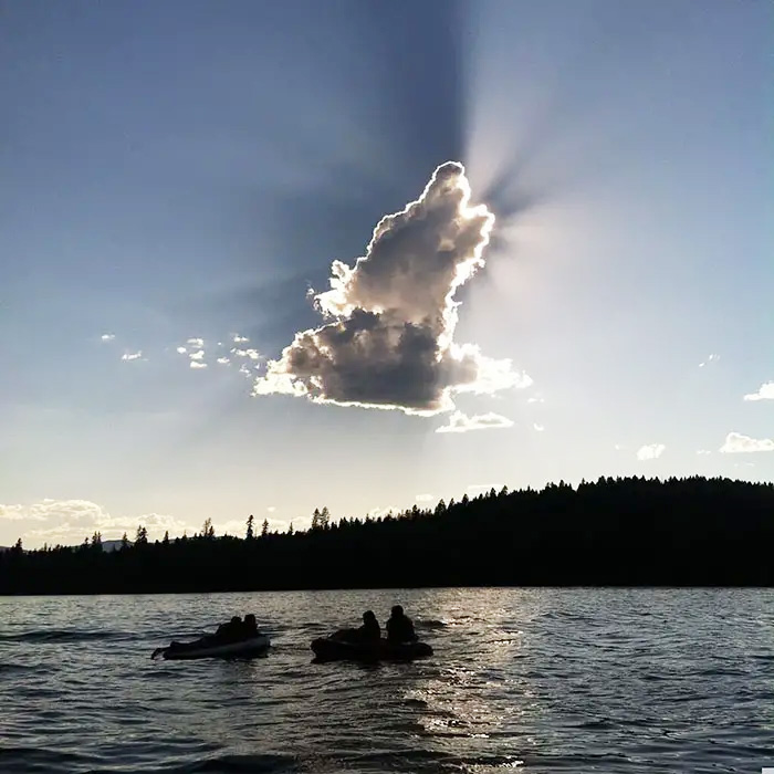Cloud in the shape of a dog is an irrefutable proof that all dogs go to heaven