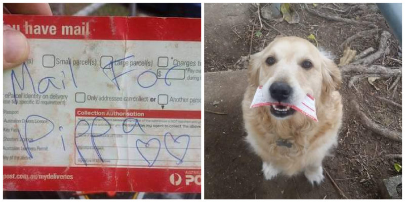 Kind-hearted postman makes sure the dog, that is waiting for him every day, gets a daily letter even when there isn’t any mail