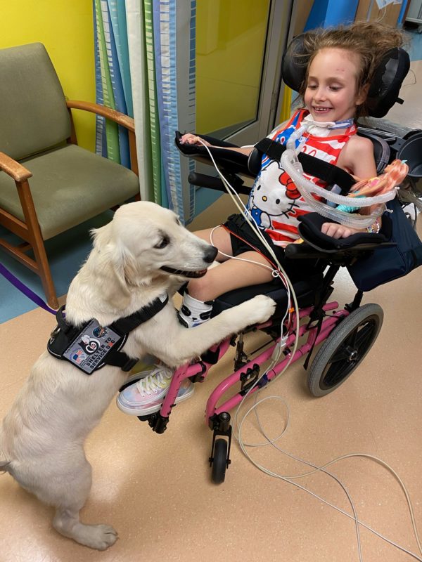 Puppy makes little girl smile again after multi-vehicle car crash paralyzes her