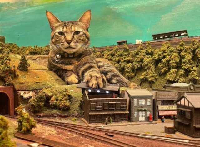 Railway cats: how stray cats saved the Diorama restaurant in Japan from from closing because of the Pandemic