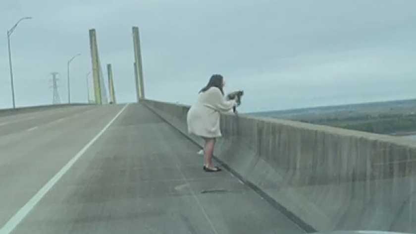 Woman rescued a kitten that was sitting on the edge of the Texas bridge and could fall at any moment